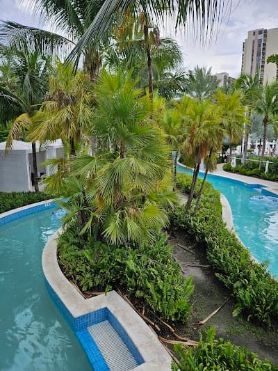 JW Marriott Miami Turnberry Resort & Spa photo 3