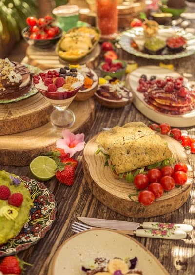 Garden of Salvador Bachiller photo 3