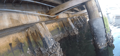 NOHMIS Design photo 3