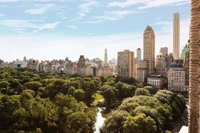 The Ritz-Carlton New York, Central Park photo 5