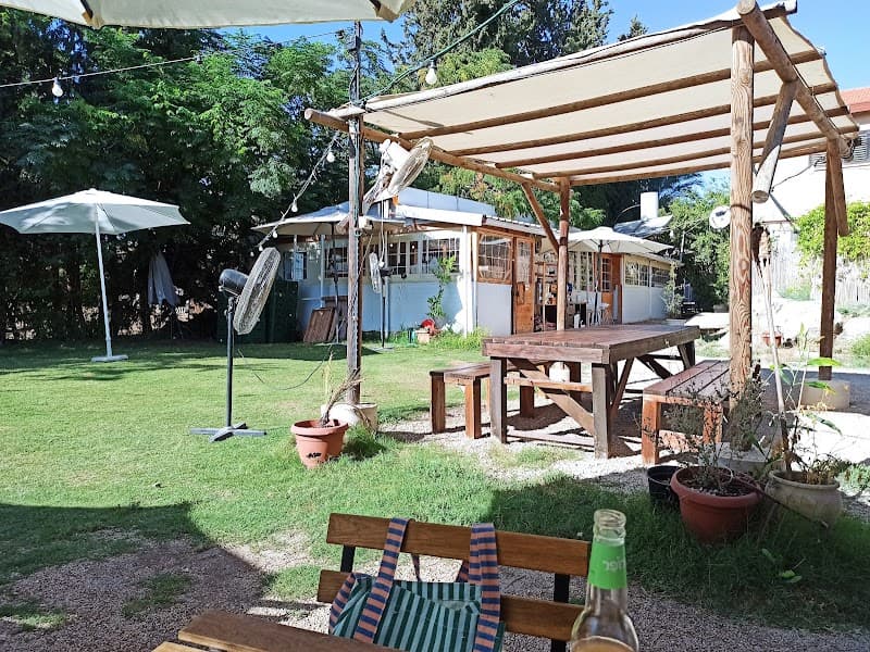 התאנה 94 photo 3