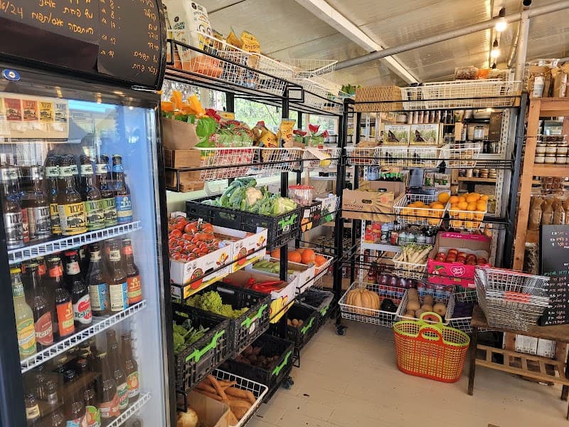 התאנה 94 photo 4