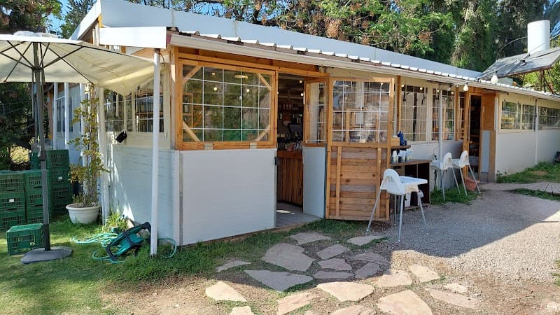 התאנה 94 photo 5