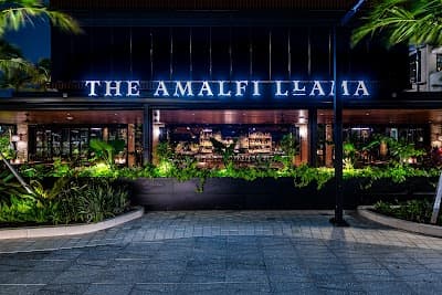 The Amalfi Llama - Miami