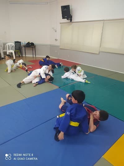 דניאל גיבטובסקי (סנסיי) - סדנאות העצמה לילדים photo 3