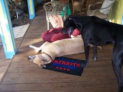 A M Electric, Inc photo 2