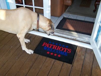 A M Electric, Inc photo 3