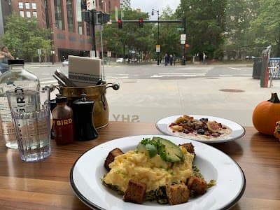 Shy Bird - Kendall Square photo 2