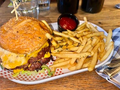 Shy Bird - Kendall Square photo 3