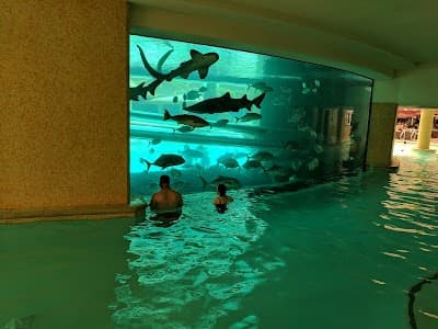 Golden Nugget Las Vegas Hotel & Casino photo 3