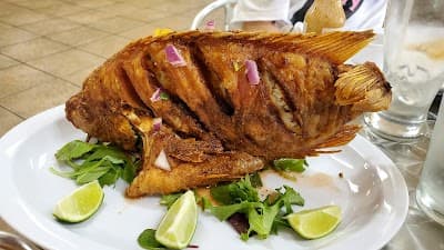 La Padella Latina Restaurant