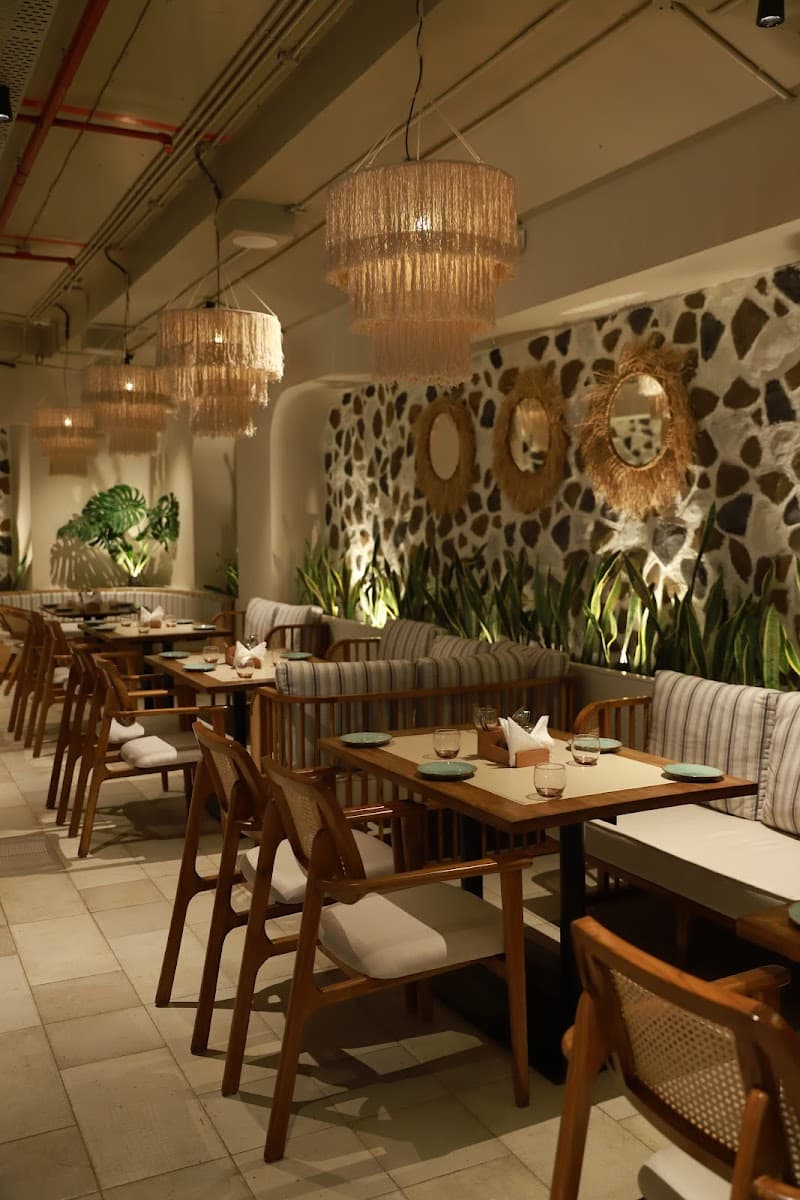 Thyme & Whisk Koregaon Park - Best Pure Veg Fine Dine Restaurant in Pune