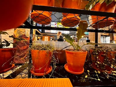 Tostado Madrid - Alcalá 4, Sol photo 3