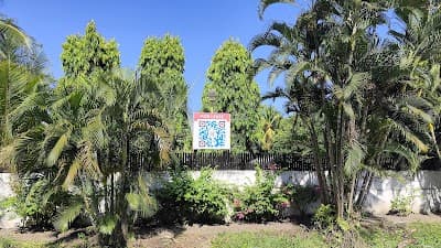 Twin Road Joggers Place