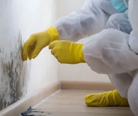 Pompano Beach Water Damage Restoration Company photo 5