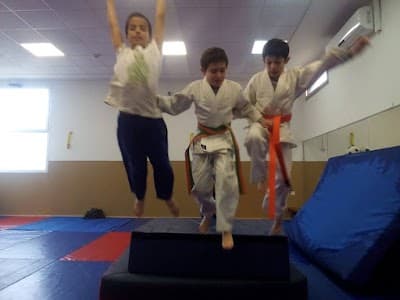 ג'ודו מודיעין