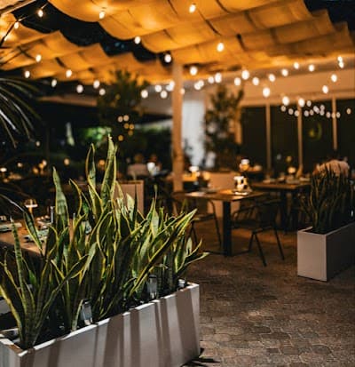 The Green Pointe Restaurant - Aventura photo 3