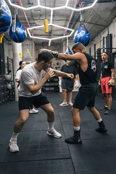 איגרוף קלאסי - נדב דרור photo 3