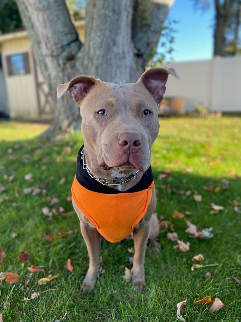 Garbizo Animal Clinic