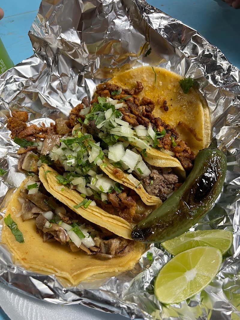 Las Trancas Taco Stand photo 3