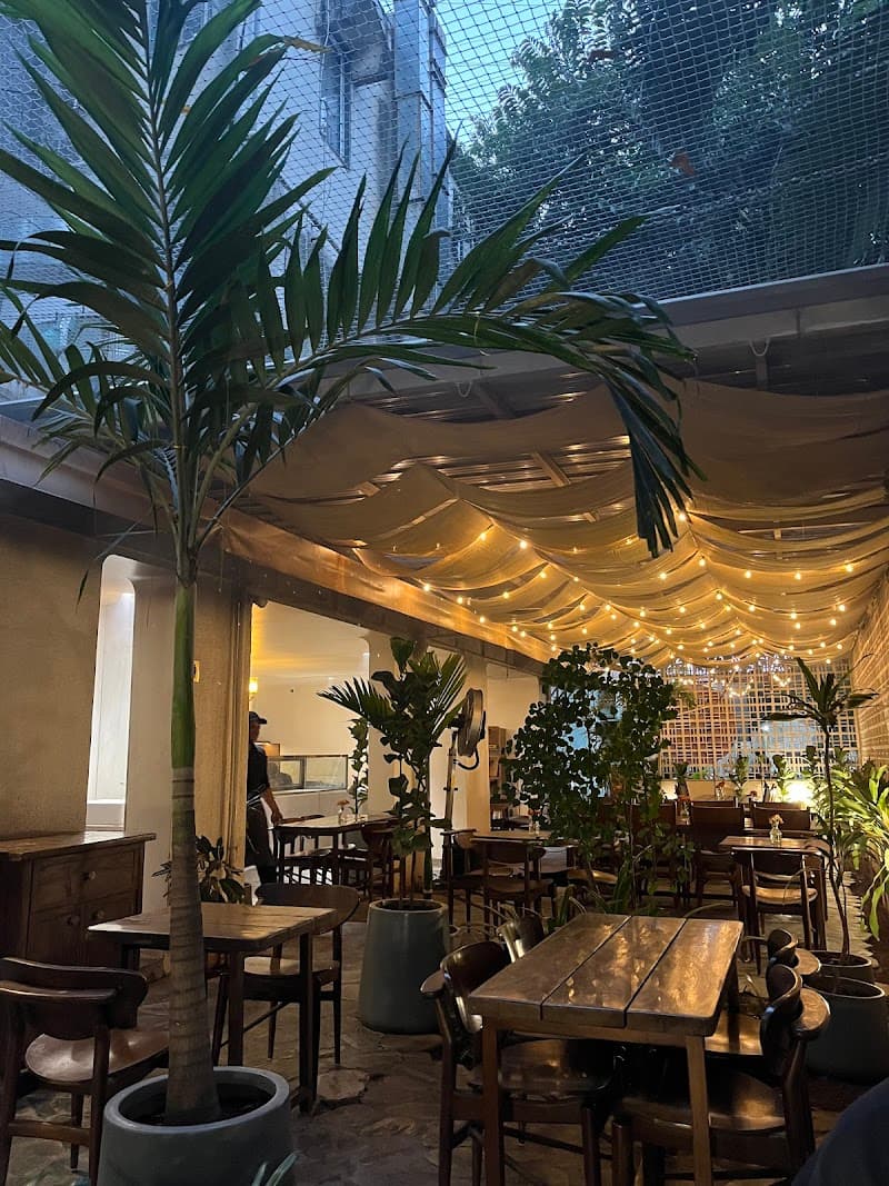 Cafe From The Tree, KP