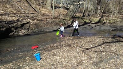 Poricy Park Fossil Beds
