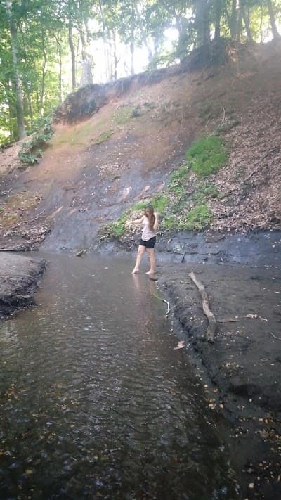 Poricy Park Fossil Beds photo 3