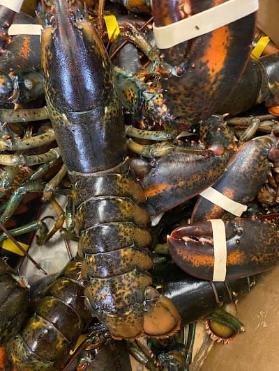 China Lane Restaurant photo 2