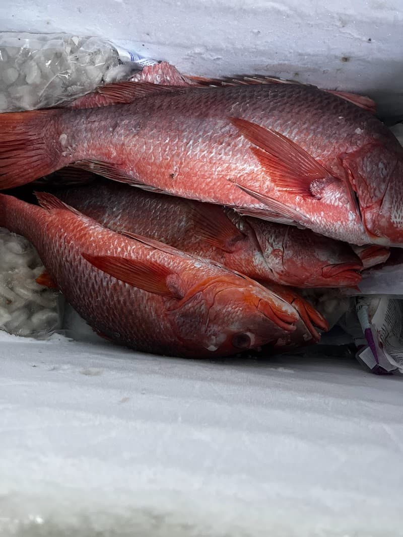 Casa Marin Restaurant photo 3